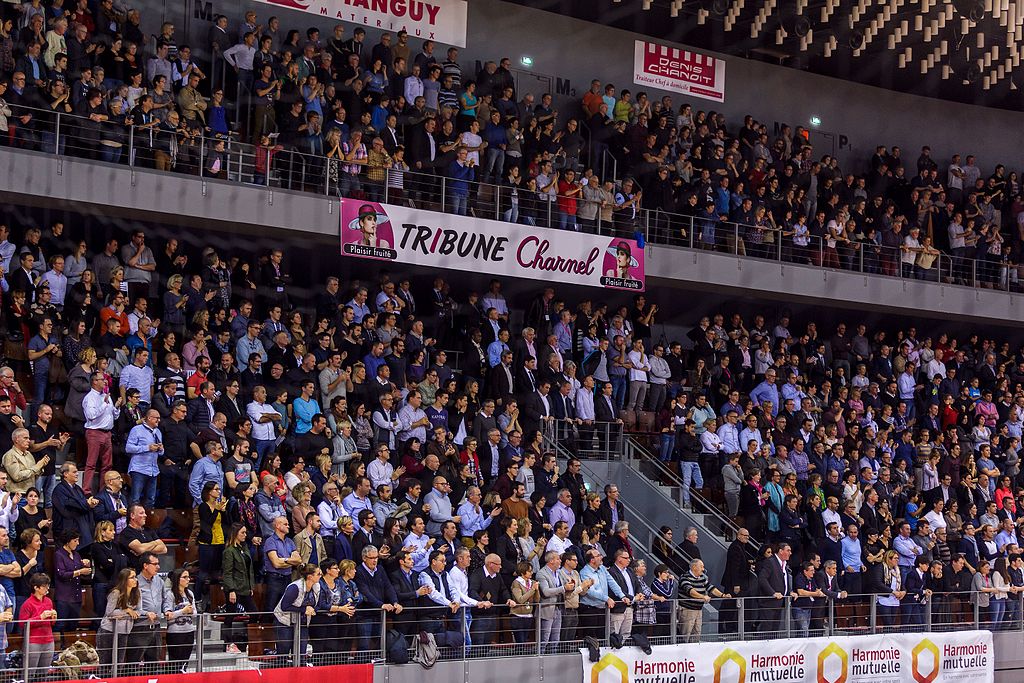 BREST Bretagne HANDBALL | Tanguy